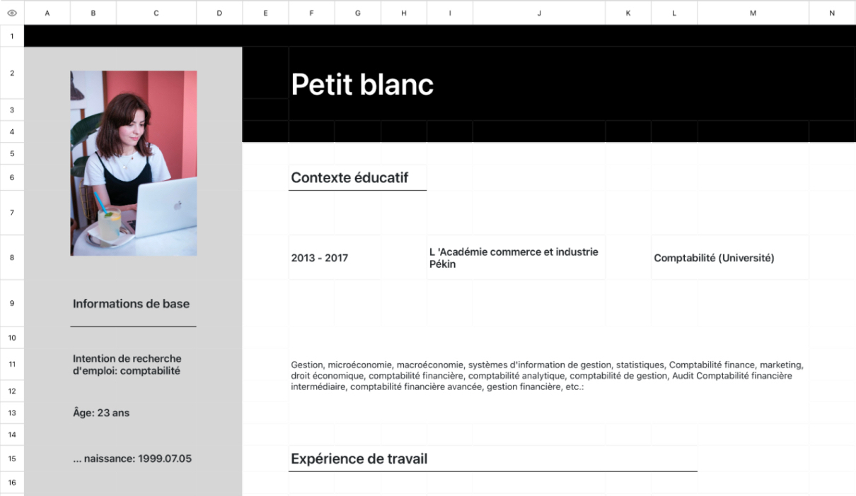 CV comptable